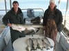 (03/26/2014) - Nice Striped Bass